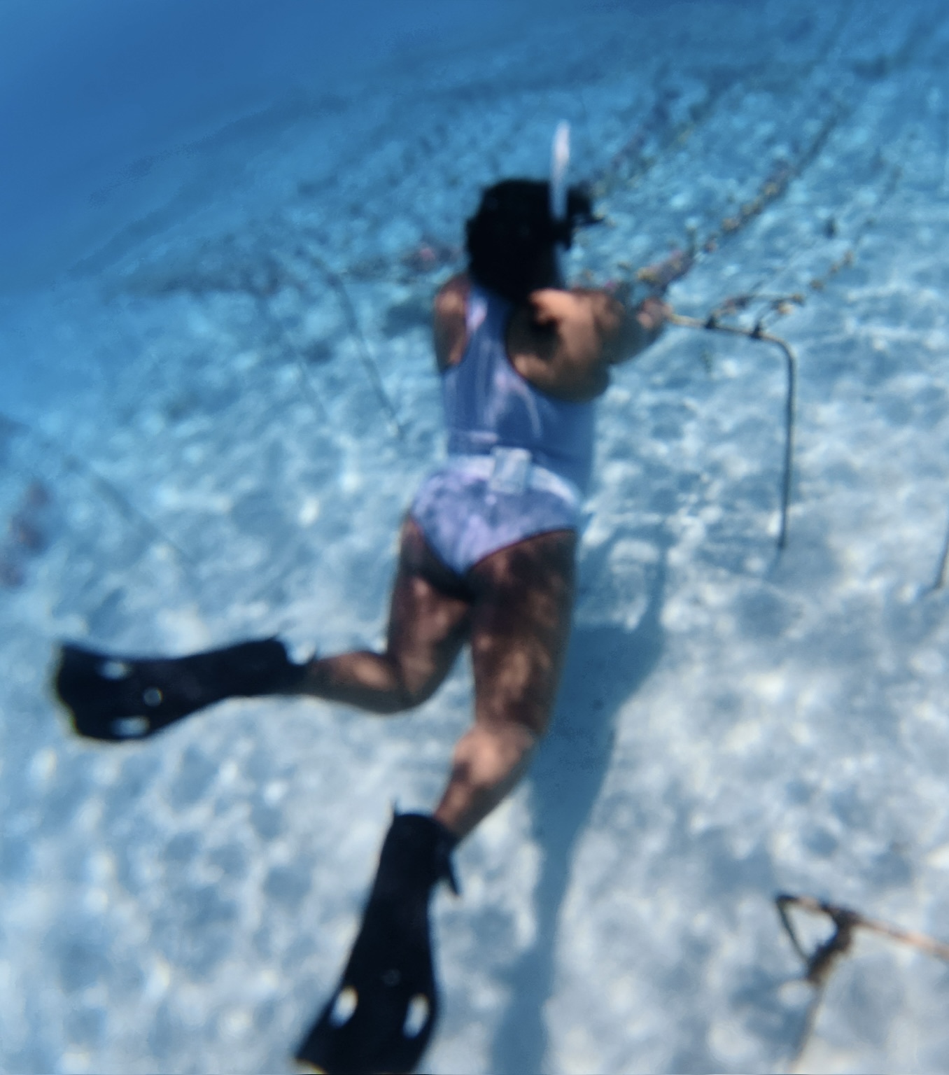 Freediving