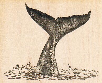 Ocean stamp